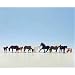 Algopix Similar Product 18 - Noch 45761 Horses 9/ Tt Scale Figures