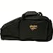 Algopix Similar Product 15 - Oscar Schmidt AC445 Autoharp Gig Bag