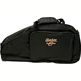 Algopix Similar Product 18 - Oscar Schmidt AC445 Autoharp Gig Bag