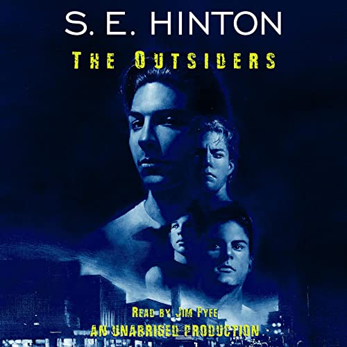 Algopix Similar Product 5 - The Outsiders