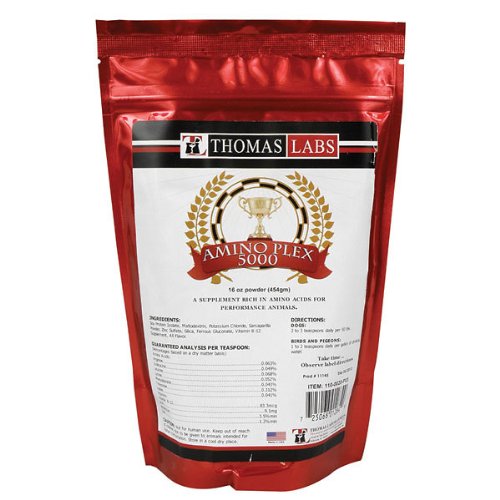 Algopix Similar Product 18 - THOMAS LABORATORIES Amino Plex 500016