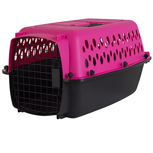 Algopix Similar Product 20 - Petmate Pet Porter Fashion Dog Kennel