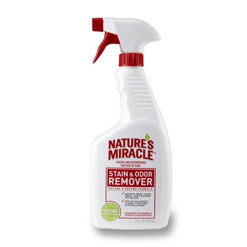 Algopix Similar Product 14 - Natures Miracle Stain  Odor Remover
