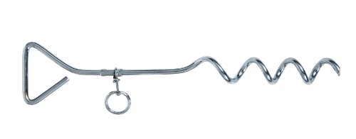Algopix Similar Product 4 - Aspen Pet Spiral Tie Out Stake Large