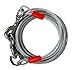 Algopix Similar Product 20 - Aspen Pet Tieout Trolley 30 feet