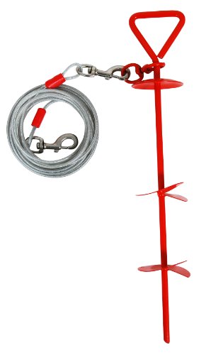 Algopix Similar Product 12 - Petmate Super Dog Stake with 20Feet of