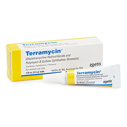 Algopix Similar Product 16 - Terramycin Antibiotic Ointment for Eye