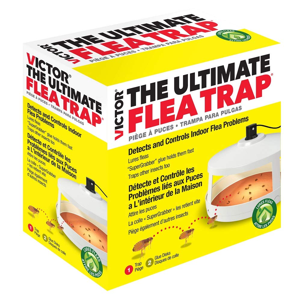 Algopix Similar Product 15 - Victor Safer Brand M230A Ultimate Flea