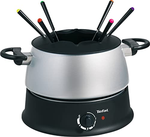 Algopix Similar Product 10 - Tefal EF 3000.10