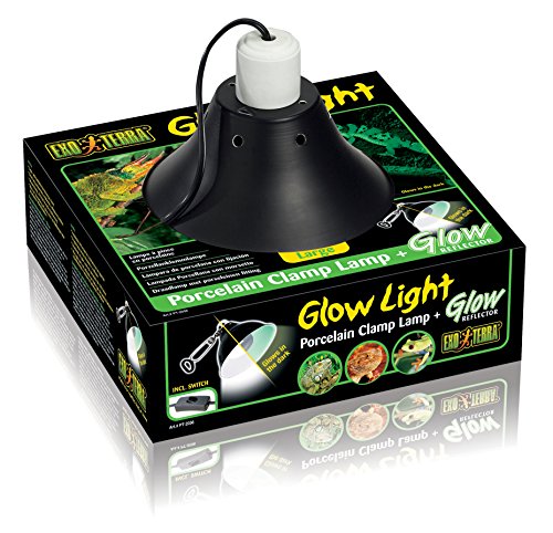 Algopix Similar Product 5 - Exo Terra Glow Light Porcelain Clamp