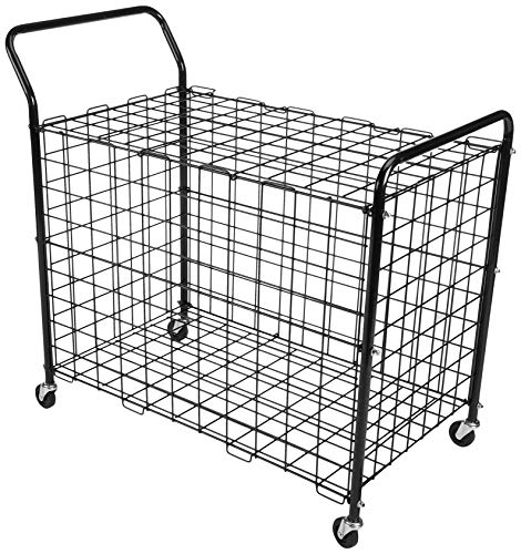 Algopix Similar Product 9 - BSN Standard Portable Ball Locker, Black