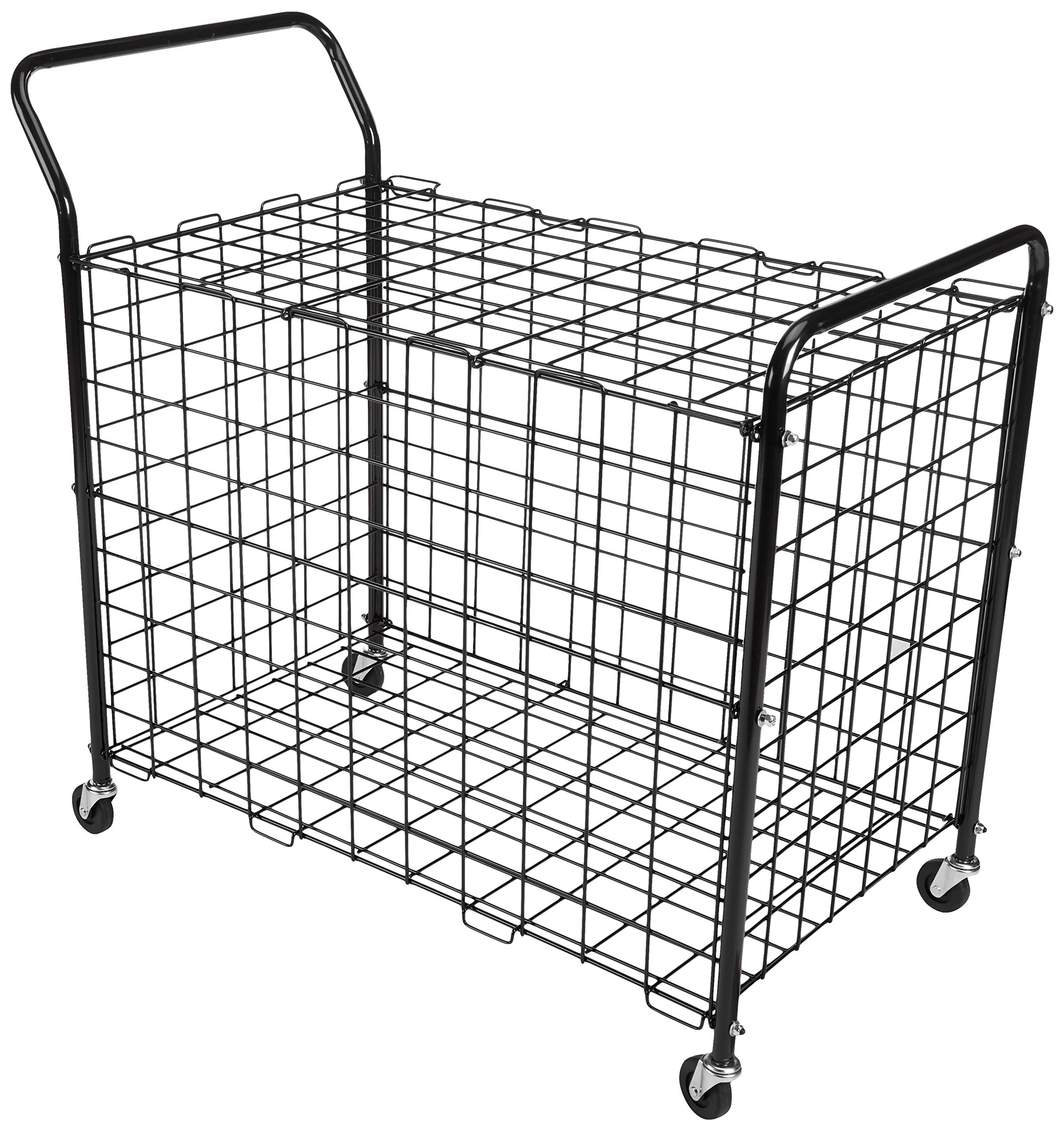 Algopix Similar Product 4 - BSN Standard Portable Ball Locker, Black