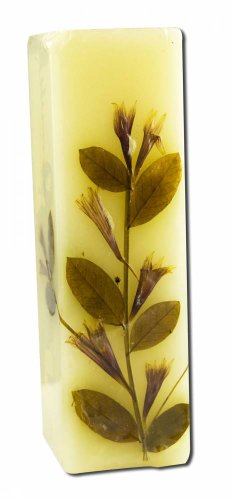 Algopix Similar Product 12 - Auroshikha Square Flower Candle