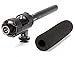 Algopix Similar Product 5 - Azden SGM-1000 Shotgun Microphone