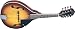 Algopix Similar Product 2 - Oscar Schmidt OM10 AStyle Spruce Top