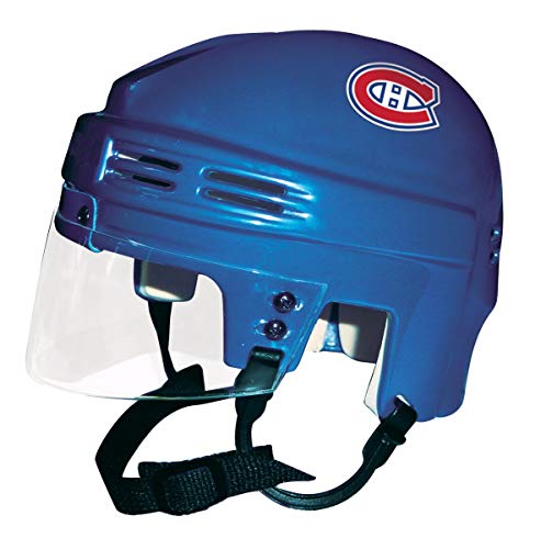 Algopix Similar Product 12 - SportStar Mini Hockey Display Helmet 