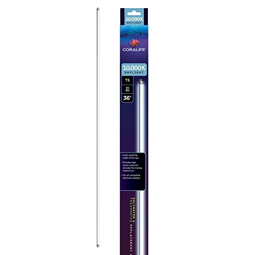 Algopix Similar Product 7 - Coralife T5 Replacement Lamp 10000K