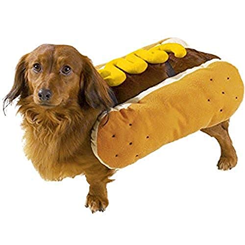 Algopix Similar Product 17 - Casual Canine Hot Diggity Dog with