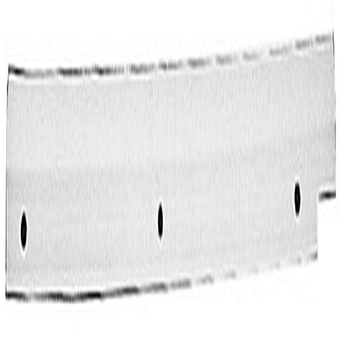 Algopix Similar Product 9 - Oregon 73-019 Snow Thrower Scraper Bar