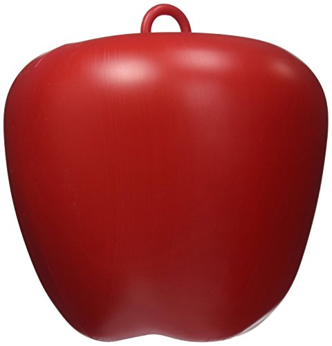 Algopix Similar Product 11 - Jolly Pets Apple Toy, Red