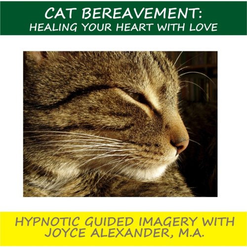 Algopix Similar Product 11 - Stress Management Thru Hypnotherapy In