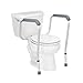 Algopix Similar Product 1 - Medline Toilet Safety Rail For Seniors
