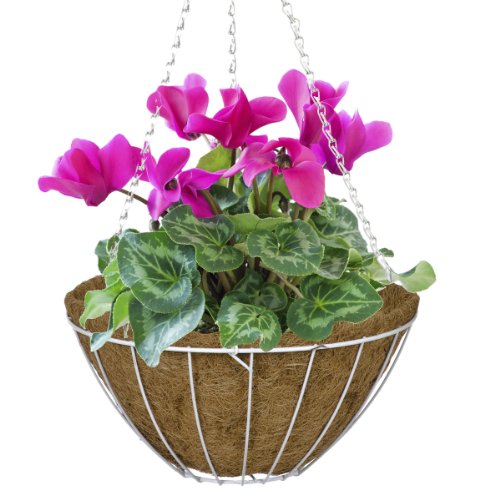 Algopix Similar Product 11 - CobraCo White 14Inch Growers Style