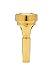 Algopix Similar Product 11 - Denis Wick DW48842F Goldplated