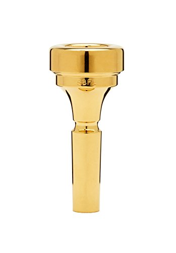 Algopix Similar Product 7 - Denis Wick DW48845BFL Goldplated