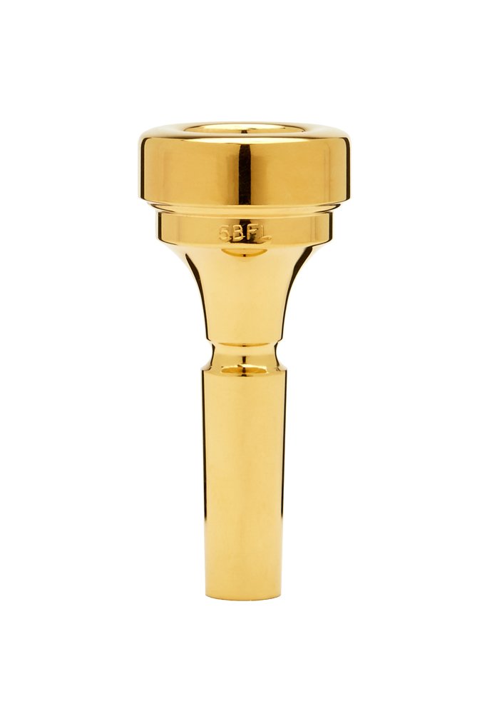 Algopix Similar Product 11 - Denis Wick DW48845BFL Goldplated