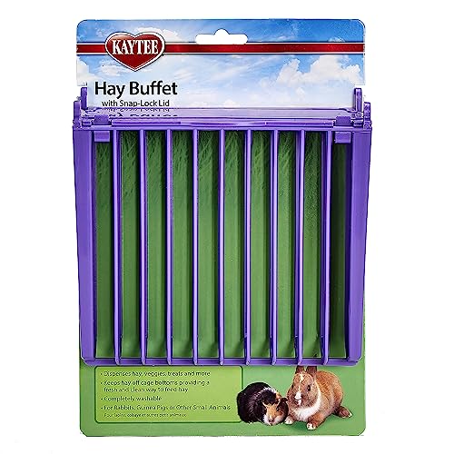 Algopix Similar Product 12 - Kaytee Hay Buffet With Snap-Lock Lid