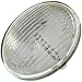 Algopix Similar Product 11 - Wagner Lighting 4414 Standard