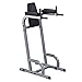 Algopix Similar Product 18 - BodySolid GVKR60 Vertical Knee Raise