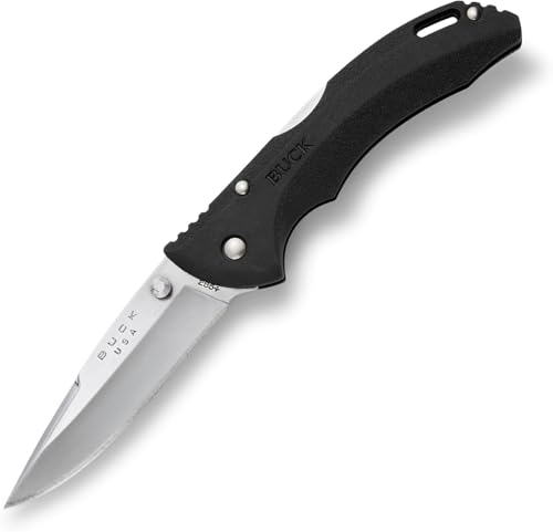 Algopix Similar Product 9 - Buck Knives 285 Bantam BLW Folding
