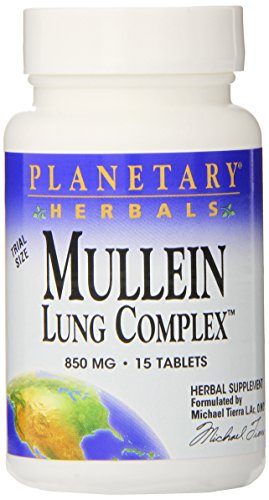 Algopix Similar Product 4 - Planetary Herbals Mullein Lung Complex