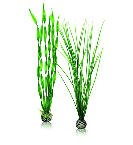 Algopix Similar Product 12 - biOrb Large Green Plant Set Colorful