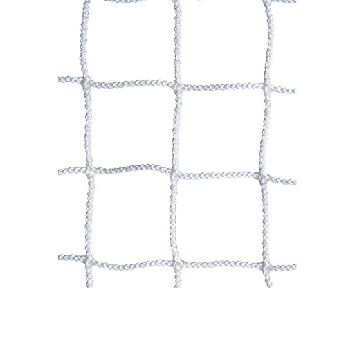 Algopix Similar Product 19 - Champion Sports Lacrosse Net, 2mm