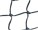 Algopix Similar Product 3 - Champion Sports Field Hockey Net