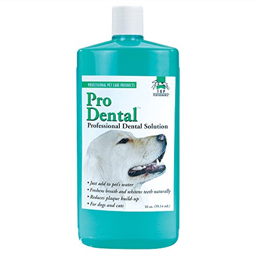 Algopix Similar Product 7 - Top Performance ProDental Solution 