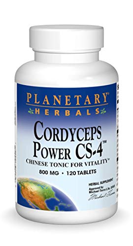 Algopix Similar Product 6 - Planetary Herbals Cordyceps Power CS4