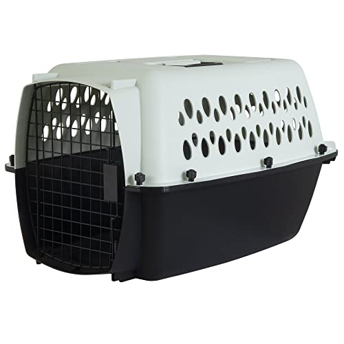Algopix Similar Product 16 - Petmate Pet Porter Fashion Dog Kennel 