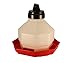 Algopix Similar Product 2 - Little Giant Plastic Poultry Waterer 