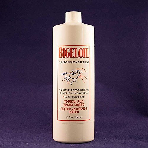 Algopix Similar Product 6 - Bigeloil  Equine Topical Pain Relief 