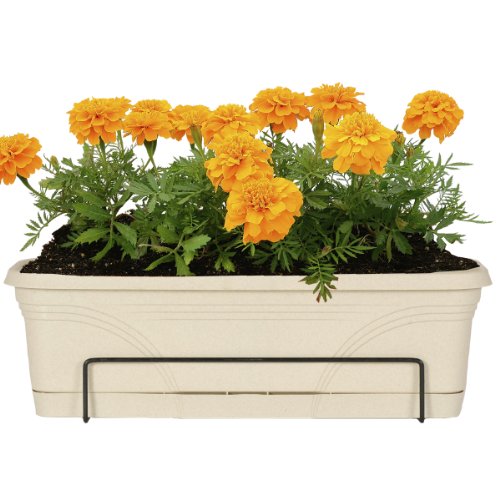 Algopix Similar Product 12 - CobraCo 18Inch to 36Inch Black