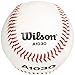 Algopix Similar Product 12 - Wilson Champion Series Baseballs