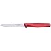 Algopix Similar Product 15 - Gemüsemesser Well., Nylon rot