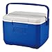 Algopix Similar Product 7 - Coleman FlipLid Cooler, 5 Quart , Blue