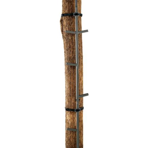 Algopix Similar Product 19 - Ameristep 20-Feet Climbing Stick
