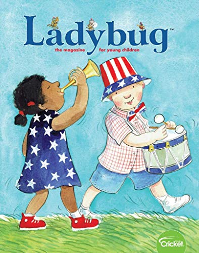 Algopix Similar Product 3 - Ladybug