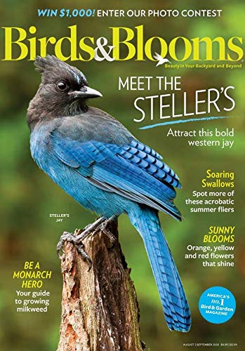 Algopix Similar Product 10 - Birds & Blooms